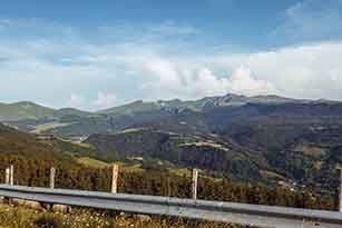 197A8737_t.jpg
