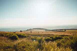 197A8875_t.jpg